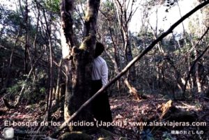 El bosque de los suicidios (Japón)